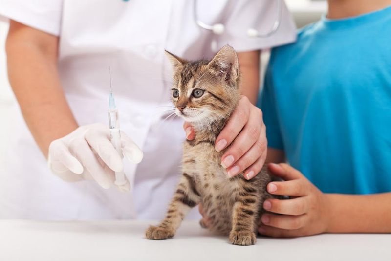 Vaccinations and Health
