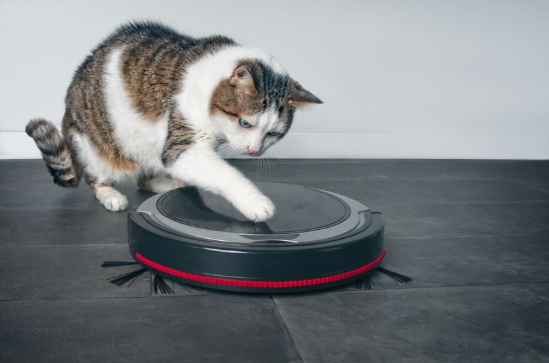 Vacuum Cleaners