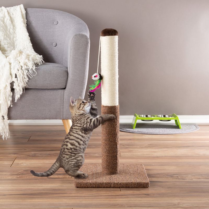 Vertical Scratching Surfaces
