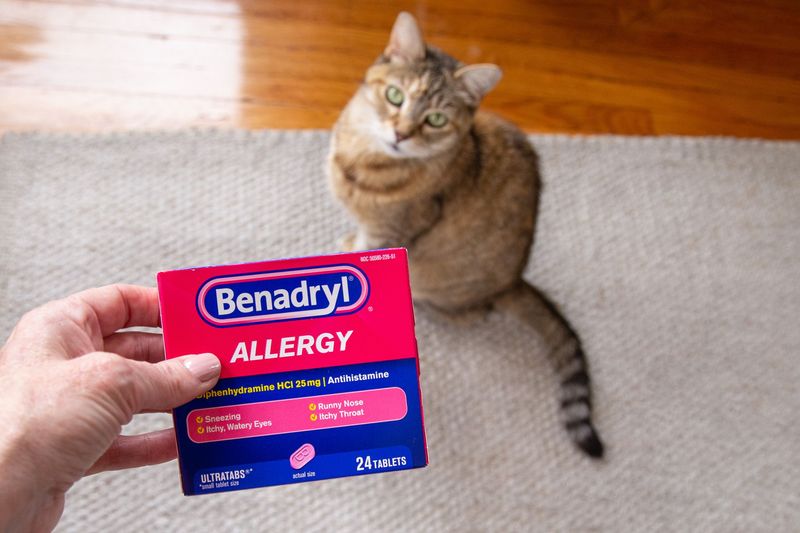 Veterinary Antihistamines