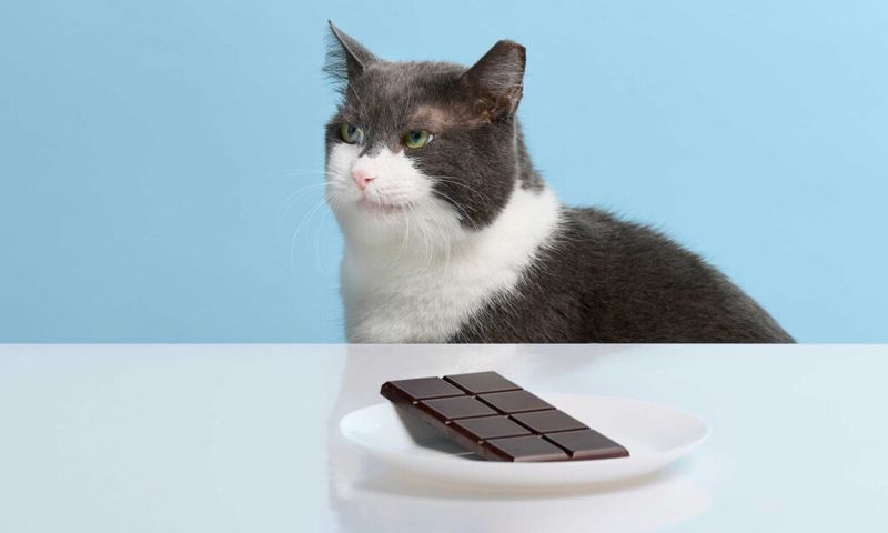 WORST: Chocolate