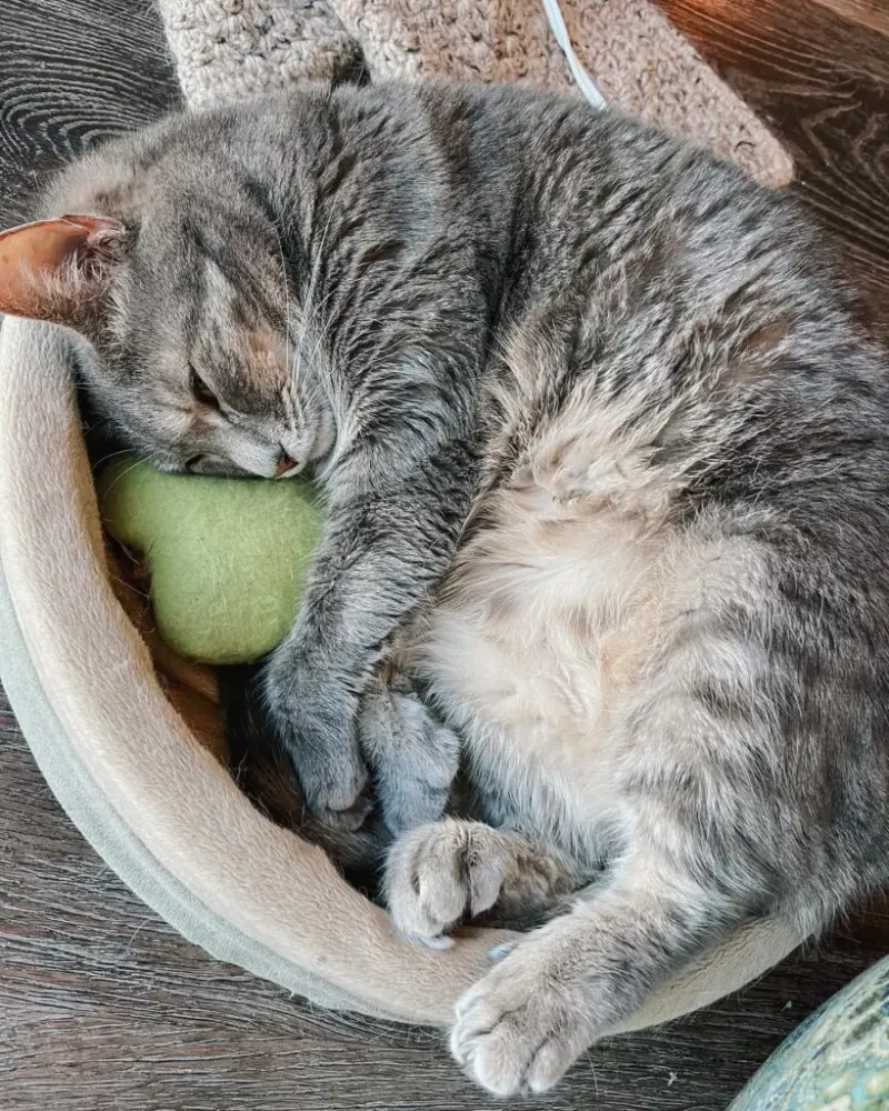 Warm Resting Places