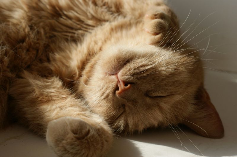 Warm Sunny Spots