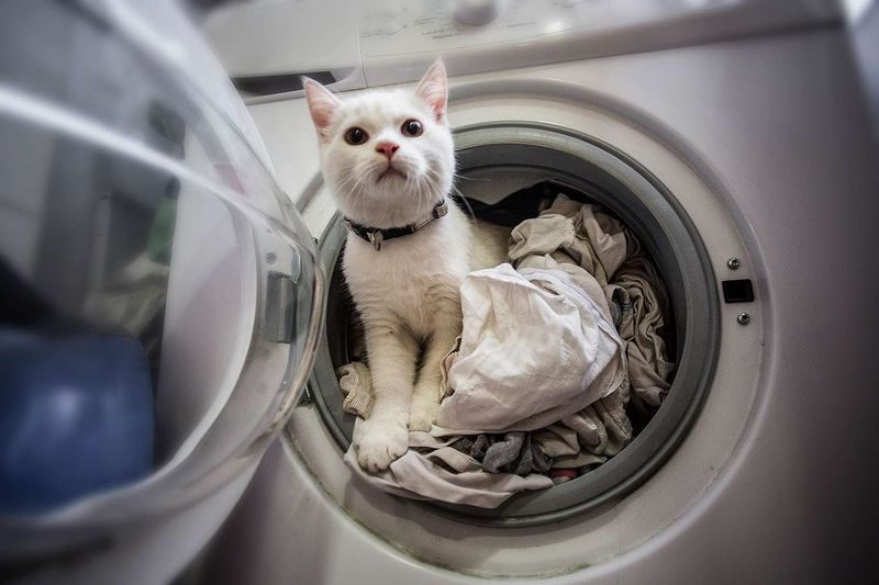 Washing Machine Woes