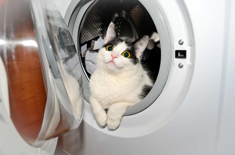 Washing Machines and Dryers