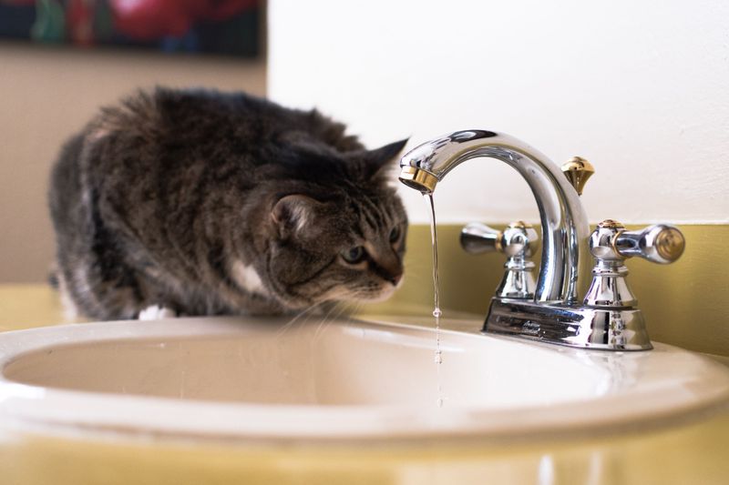 Water Fascination Creates Mess