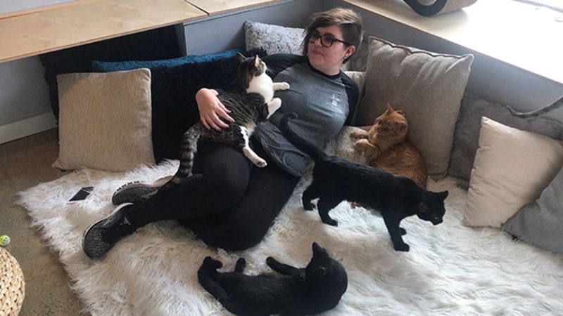 Whiskers Cat Café – Kansas City, MO