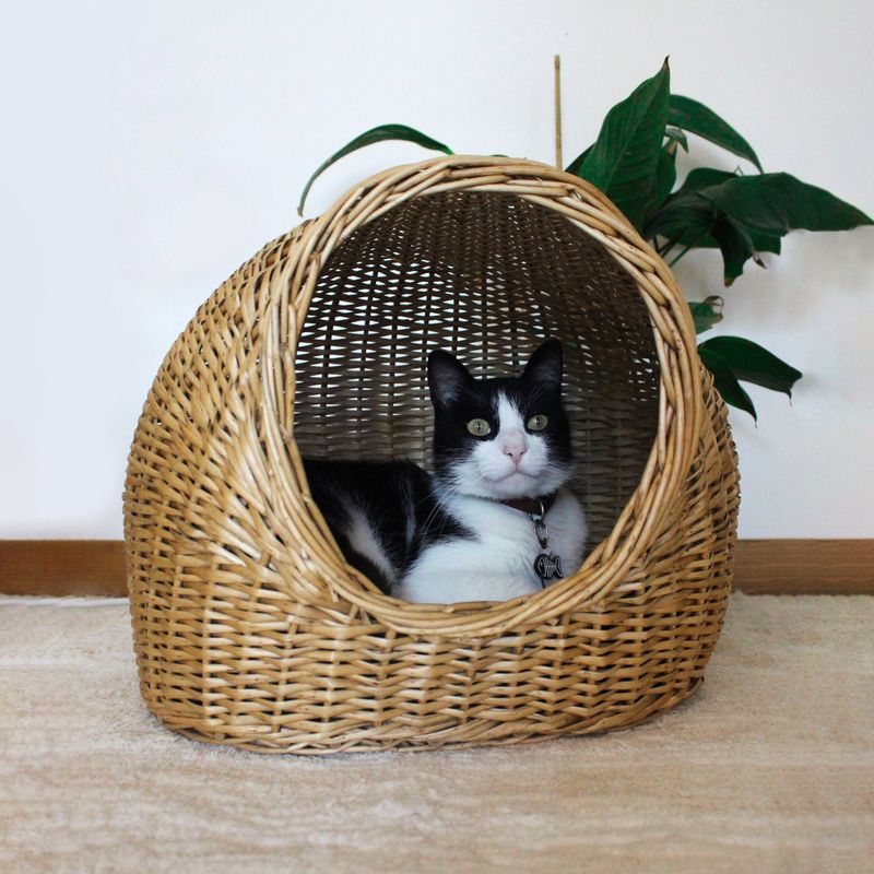 Wicker Basket Retreat