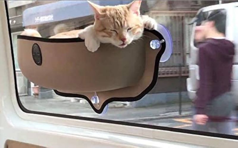 Window Hammock