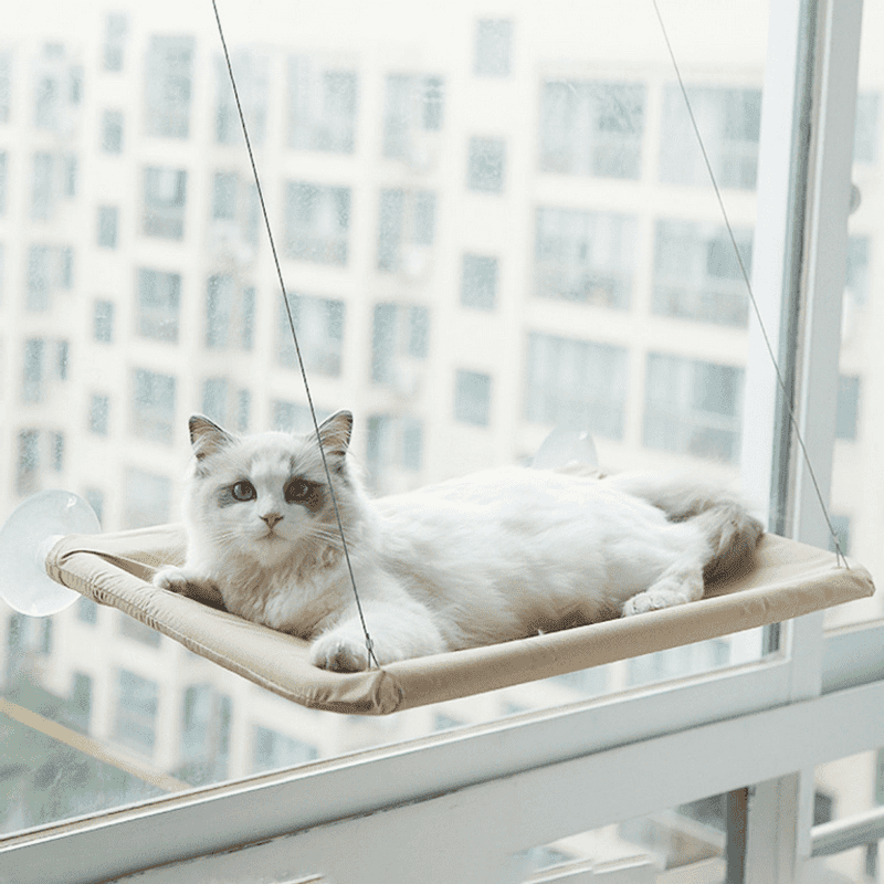 Window Perch