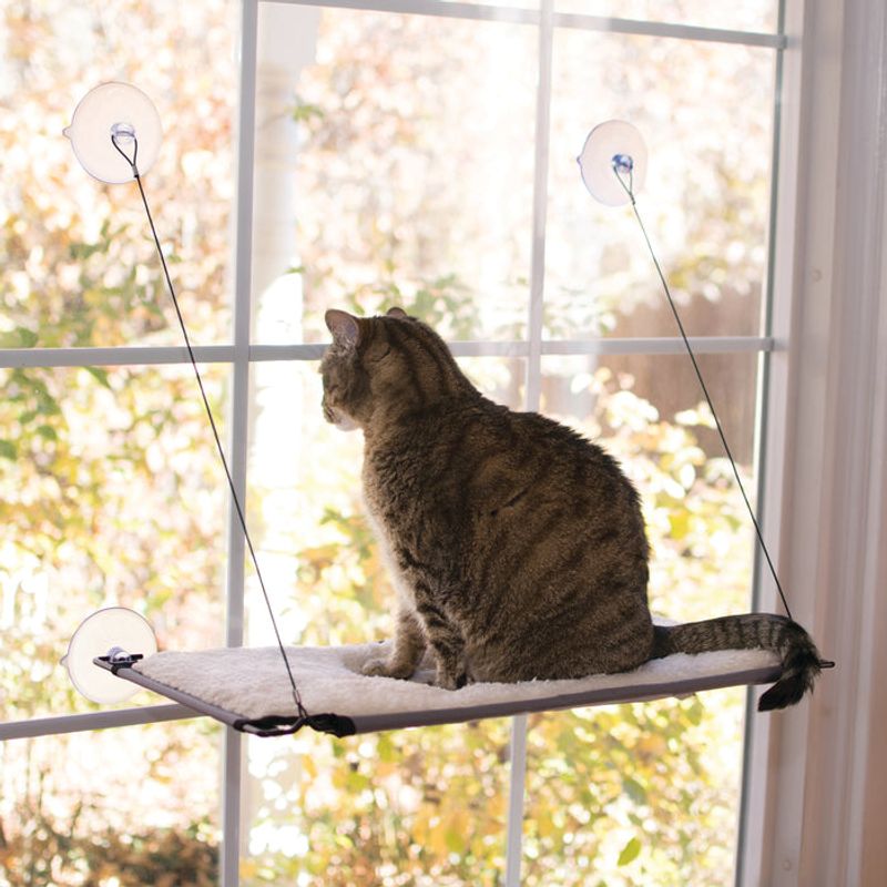 Window Watching Stations