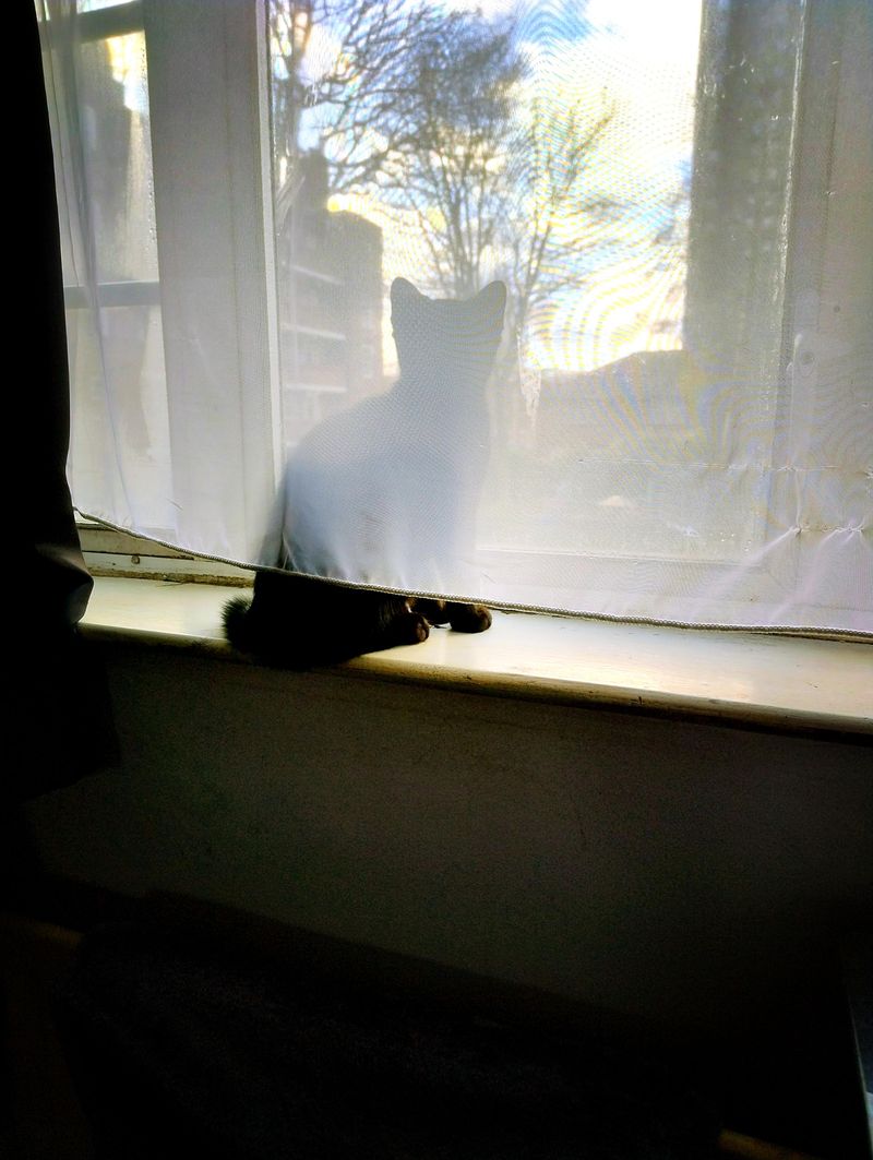 Window-Watching Time