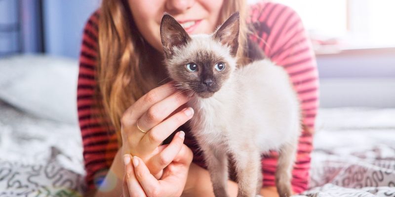 You're Prepared for Grooming Needs