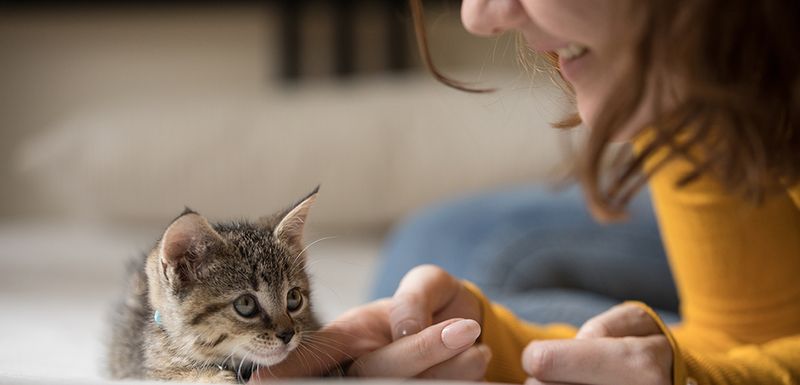 You Foster Socialization
