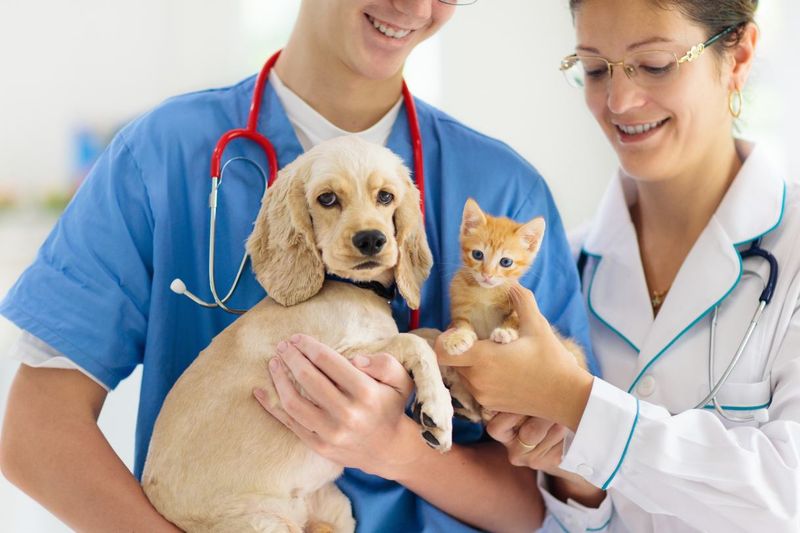 You Prioritize Their Health