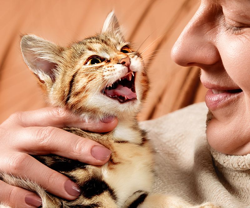 Your Response to Their Vocalizations