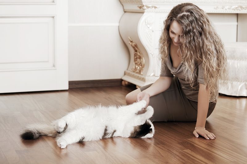 Your Stress Triggers