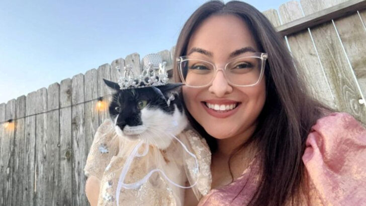 Choosing Whiskers Over Diapers: 15 Signs Gen Z Is All About Cats