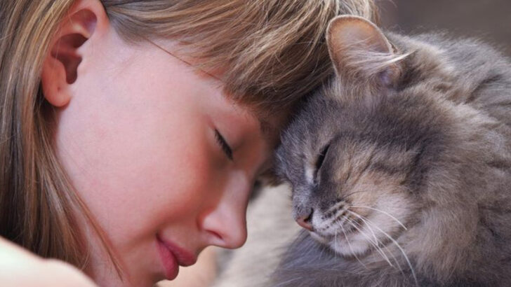 Do Cats Improve Or Worsen Your Mental Health?