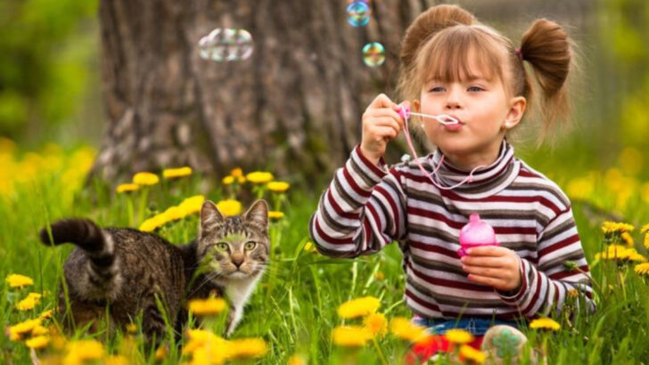 Domesticated? Sort of. The True Story of How Cats Joined Human Life