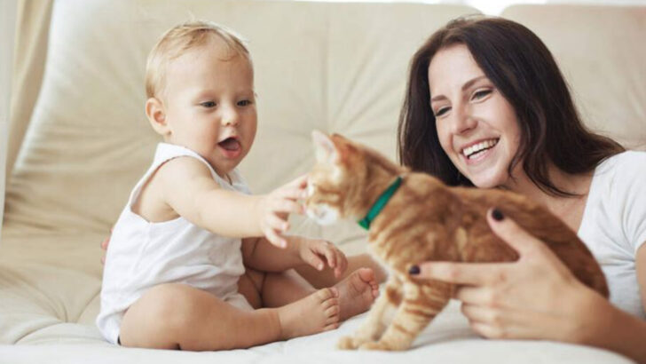 Everything First-Time Cat Parents Should Know Before Bringing One Home