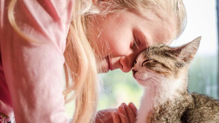 How Cats Feel About You: 12 Things They Appreciate & 7 That Irritate Them