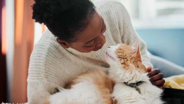 How to Be Your Cat’s Safe Place: 16 Trust-Building Habits