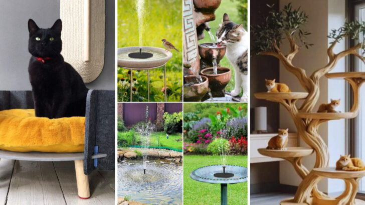 These 14 Eco-Friendly Cat Essentials Are Changing the Game