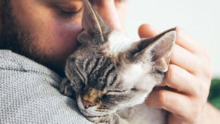 Why We’re All Obsessed With Cats (And Always Will Be)