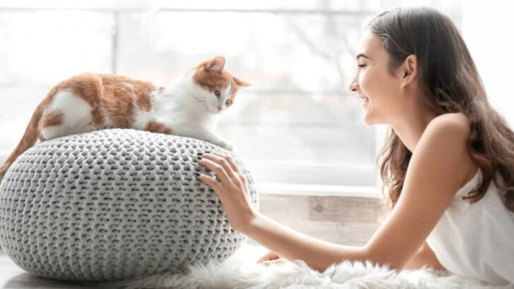 10 Things Cats Do When They Form A Special Bond With Their Owners
