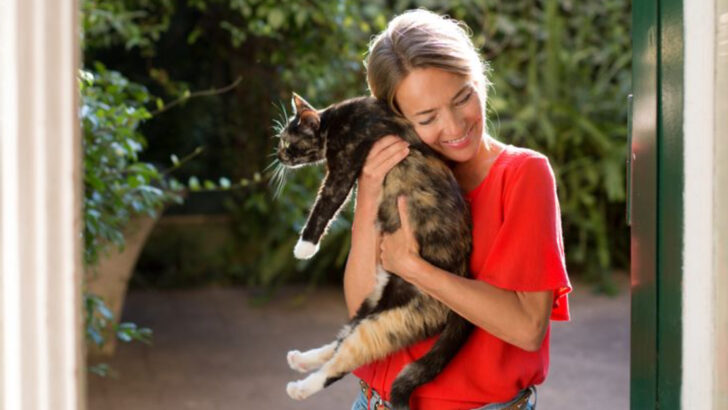 13 Ways Your Cat Shows You’re More Than Just a Food Source