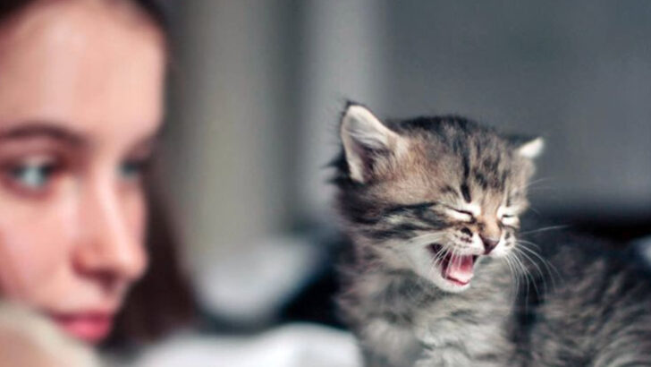 14 Things Cats Do Differently Once They Trust a Human