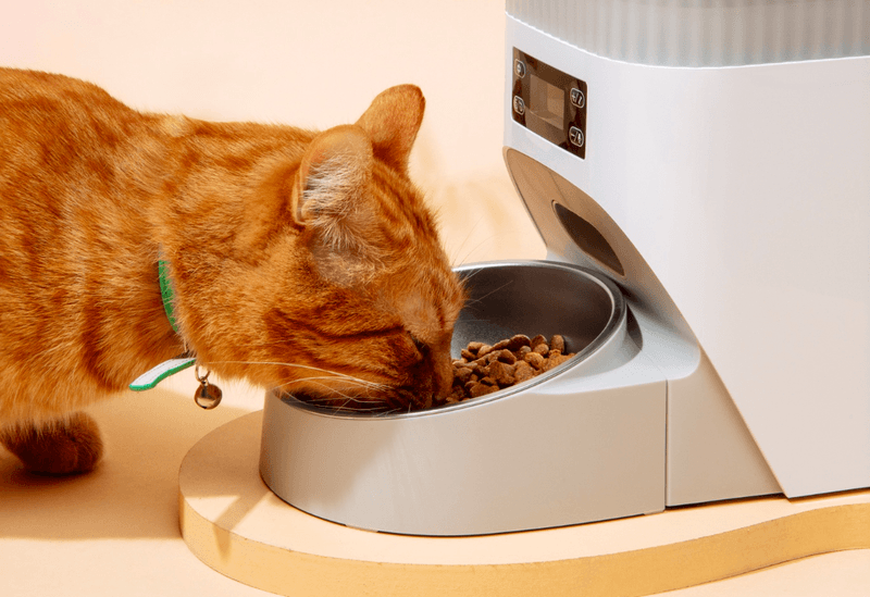 Adjust Feeding Times