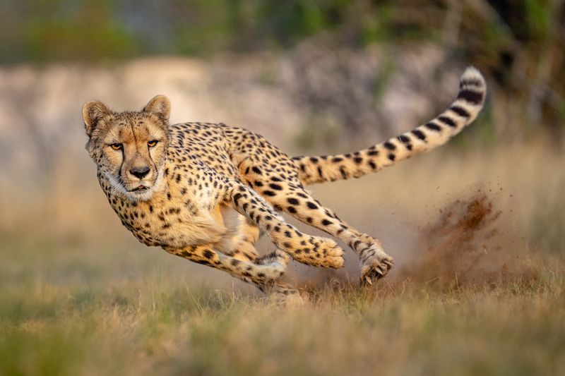 Aerodynamic Body Shape