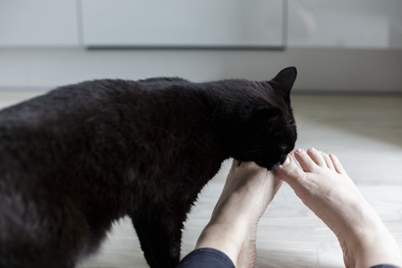 Affectionate Behavior