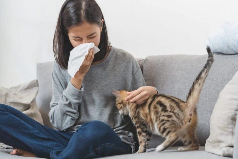 Allergy Reduction