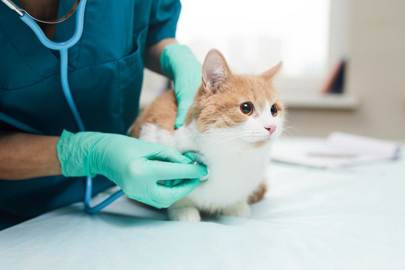 Appropriate Healthcare Attention