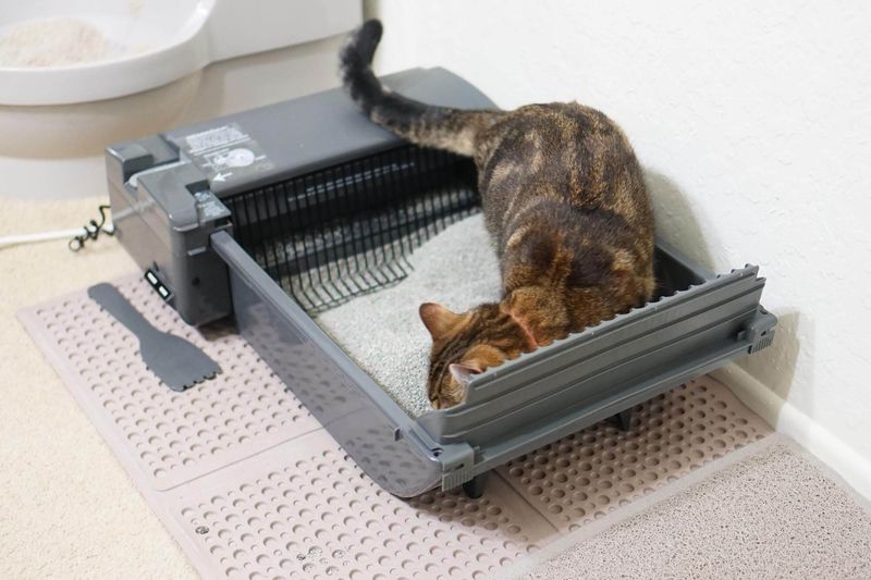 Automatic Litter Boxes