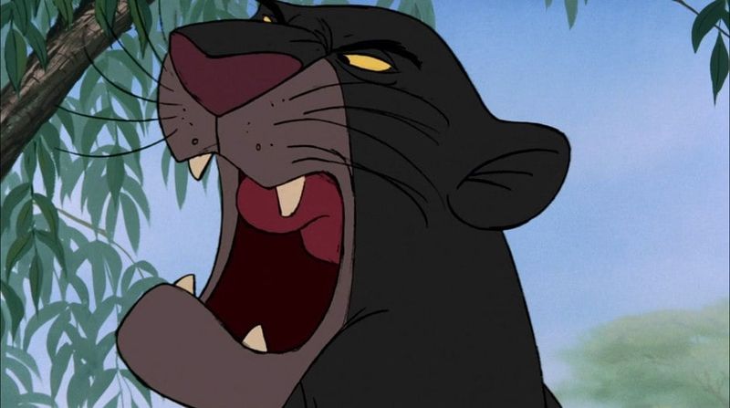 Bagheera