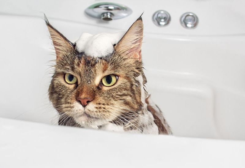 Bathing Essentials
