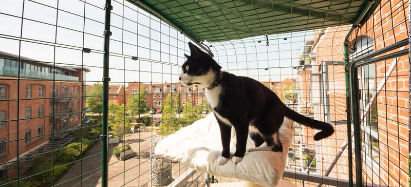 Bird Watching