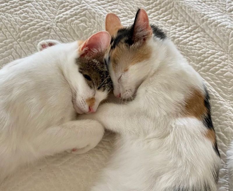 Bonded Pairs