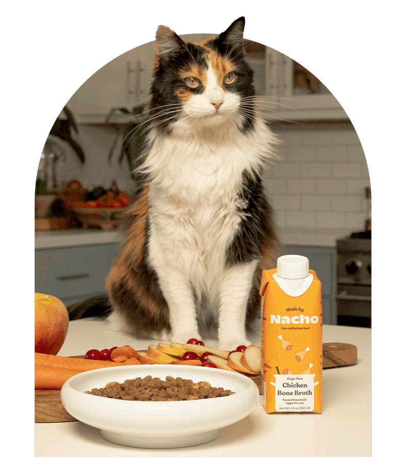 Bone Broth