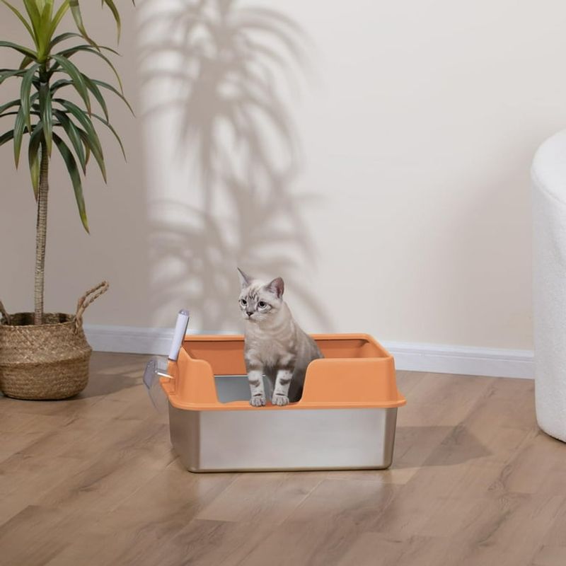 Box Size and Accessibility