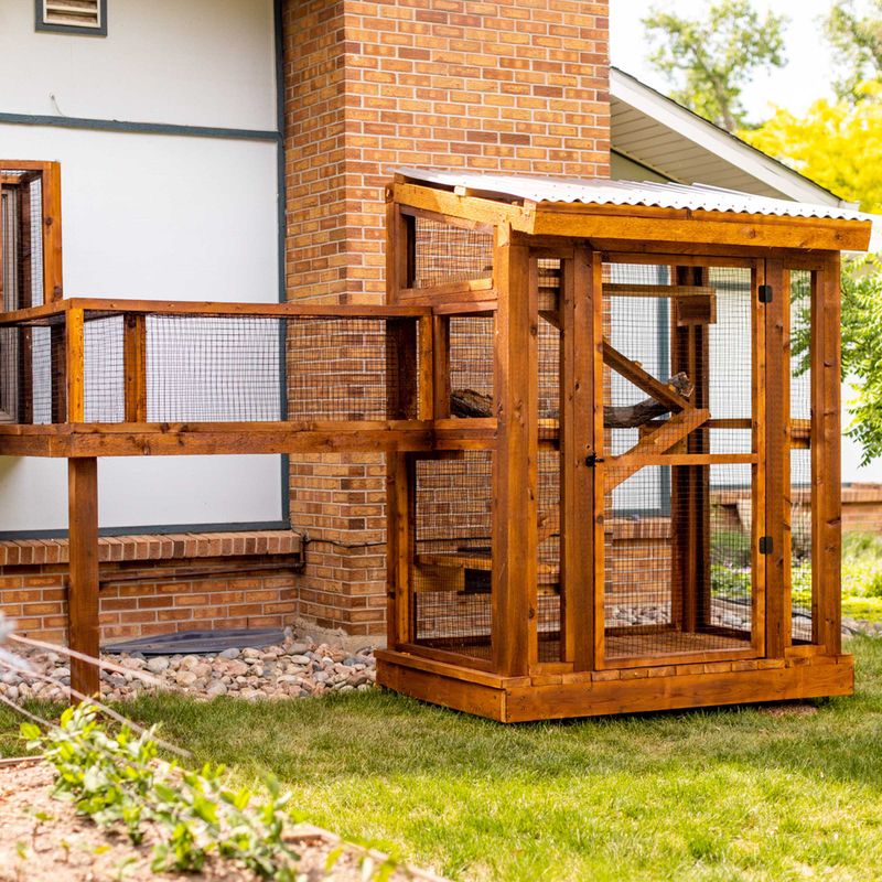 Cat Enclosure