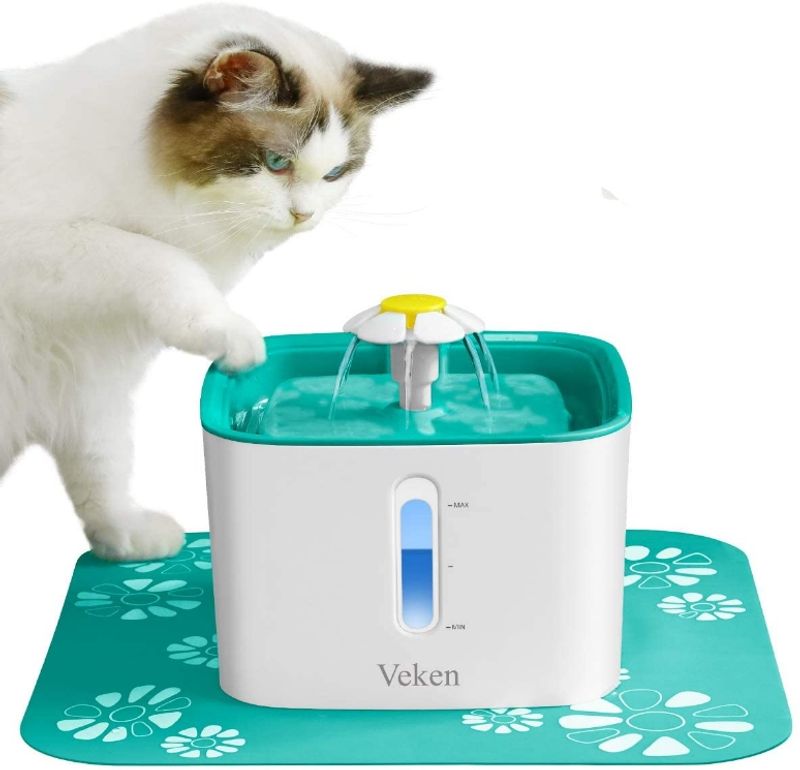Cat Fountains