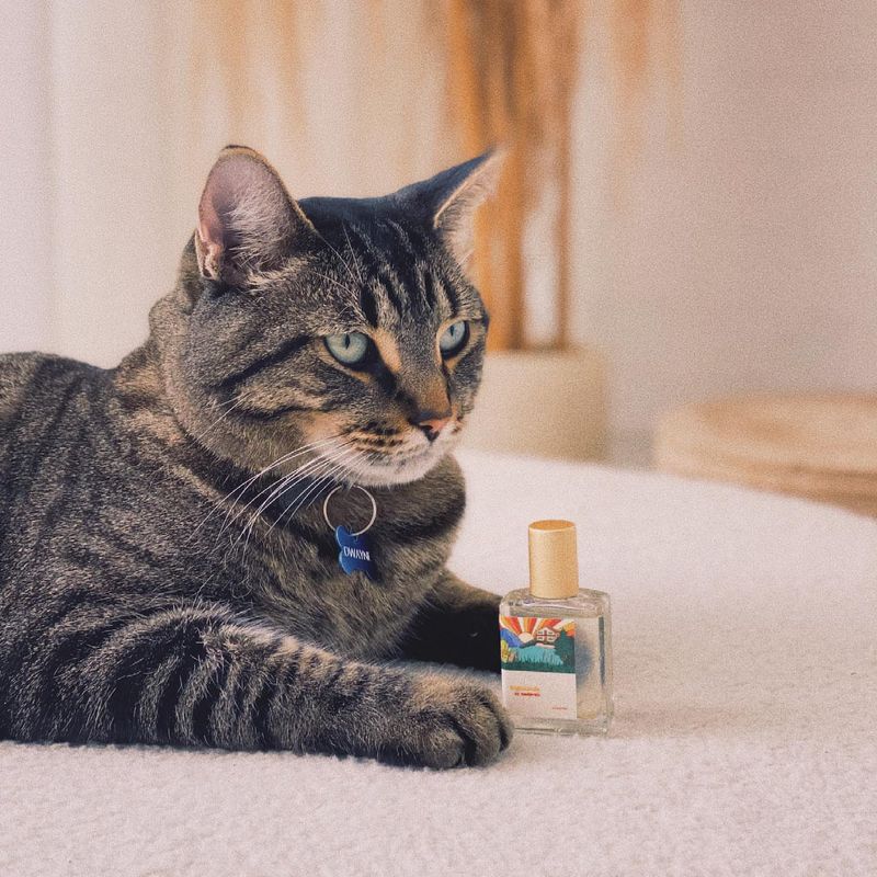 Cat Perfumes