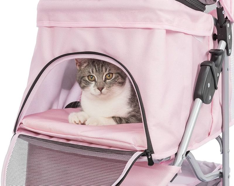 Cat Strollers