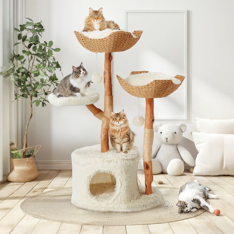Cat Tree or Tower