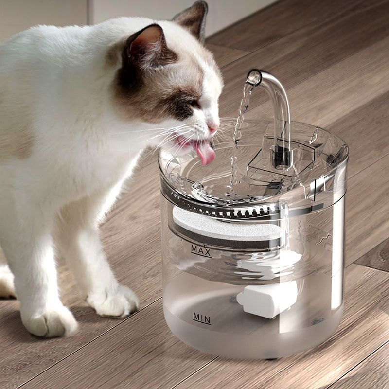 Cat Water Fountain
